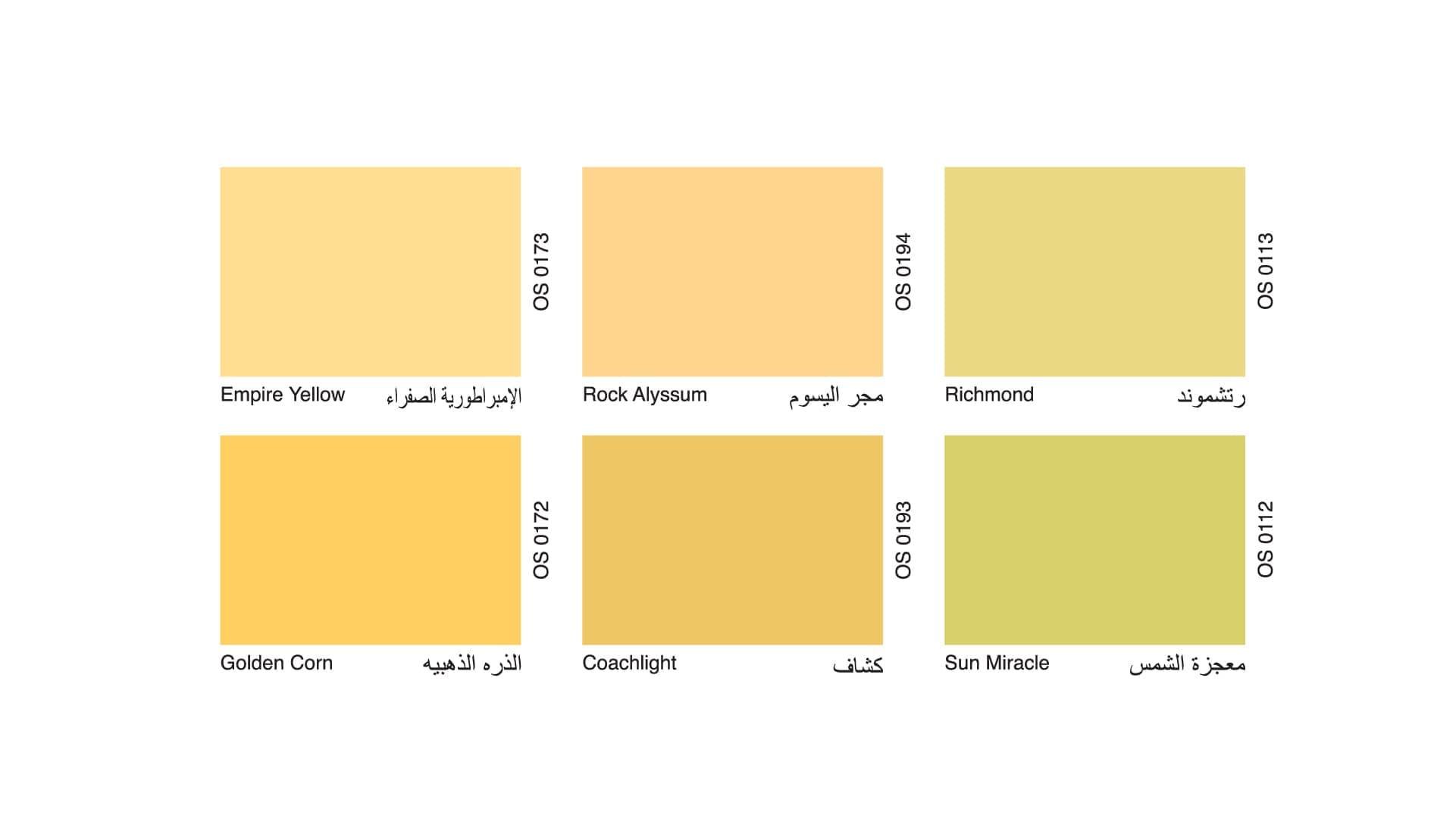 Oscar Paint Colour 10