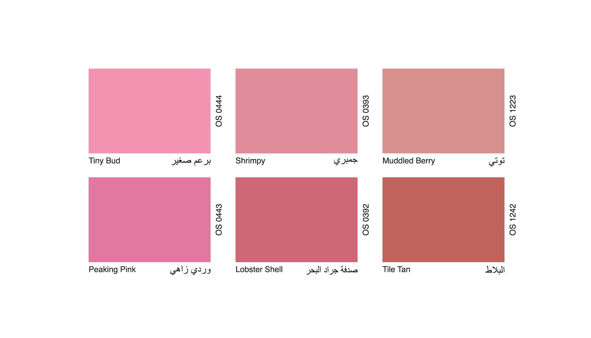 Oscar Paint Colour 22