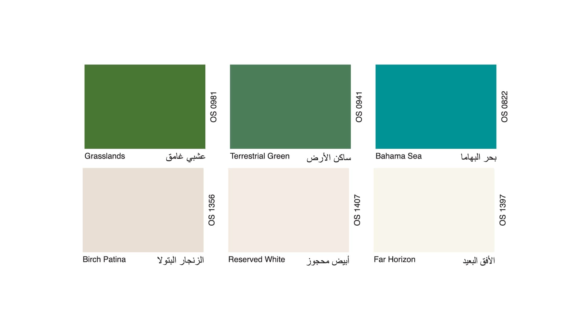 Oscar Paint Colour 40