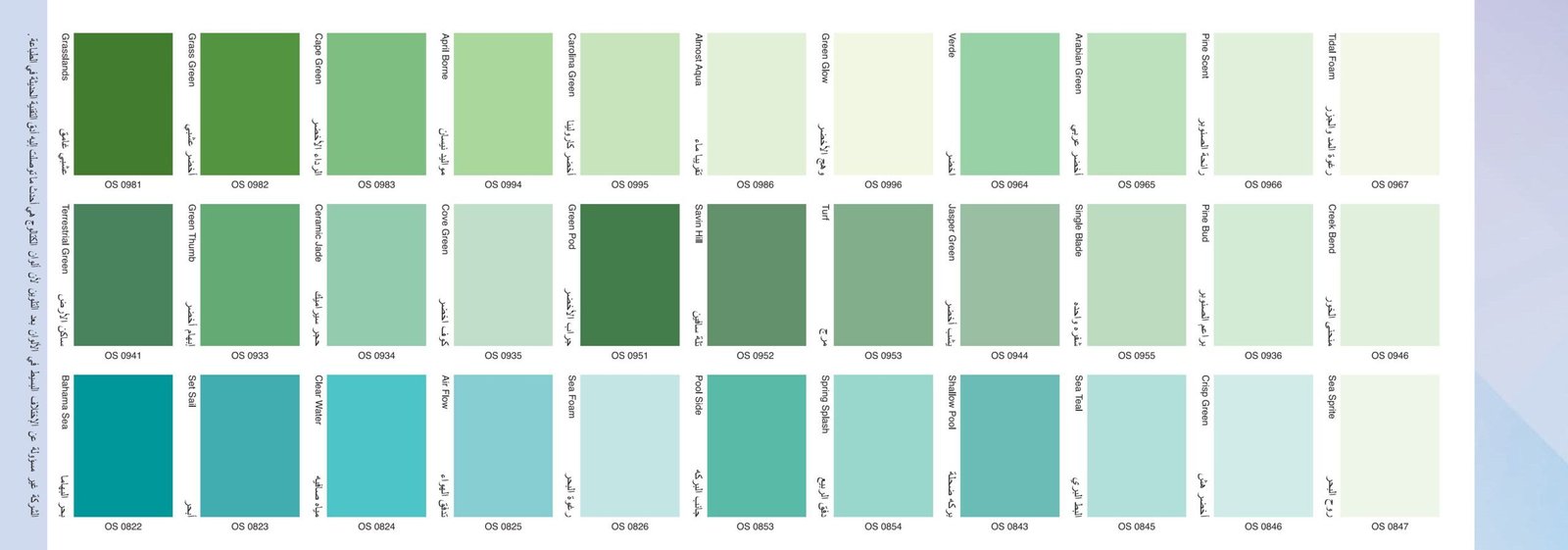 Oscar Colors 264 ( 2025)-images-7